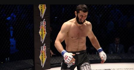 Mamed Khalidov ma nowe zajęcie. "Nareszcie znalazłem pracę"