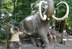 Kraków. Ludzie polowali na mamuty. Archeolodzy znaleźli dowód