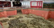 Naukowcy odkryli tajemniczy krąg z kości 60 mamutów. Próbują wyjaśnić jego przeznaczenie