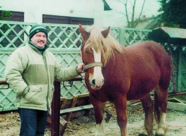 Kupił sobie lotnisko