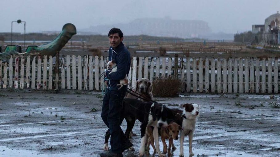 "Dogman" w polskich kinach od 14 września