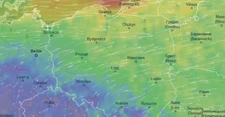 Pogoda da nam w kość. IMGW ostrzega przed silnym wiatrem