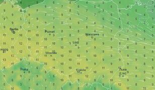 Koniec zimy? Zapowiada się piękny weekend. Temperatura poszybuje w górę