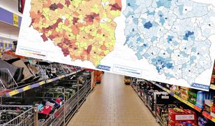Wolisz robić zakupy w Biedronce czy w Lidlu? Mapa pokazuje, kto rządzi w polskim handlu