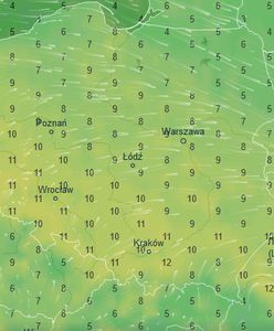 Koniec zimy? Zapowiada się piękny weekend. Temperatura poszybuje w górę