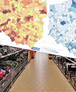 Wolisz robić zakupy w Biedronce czy w Lidlu? Mapa pokazuje, kto rządzi w polskim handlu