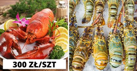 W Warszawie trzeba zapłacić 300 zł żeby go zjeść. Tak oszukują bogatych