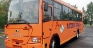 Zawiany gimbus