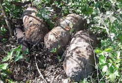 Znaleziono 20 bomb lotniczych z II wojny światowej. Na budowie autostrady A2