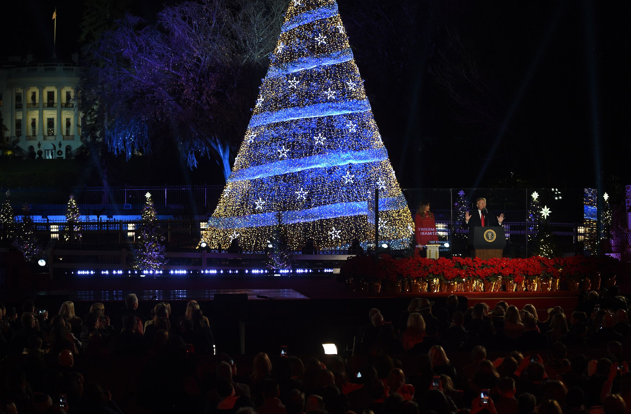 Oświetlona choinka przed Białym Domem. 