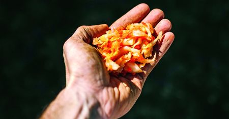 Kimchi z kapusty pekińskiej