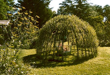 Living Willow Dome