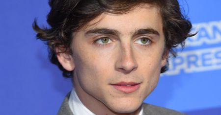 Timothee Chalamet: nie chcę wyskakiwać ludziom z lodówki