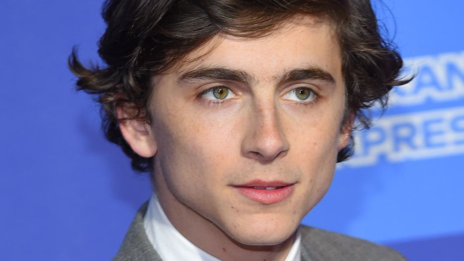Timothee Chalamet ma szansę na Oscara