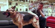 Poznajcie Rivera. To on wcieli się w Dogmeata w Fallout 4