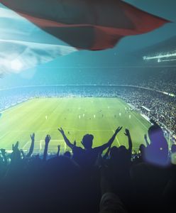 Nowa ustawa o stadionach przegłosowana. Dziwny zapis o przemocy