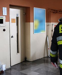 Szczecin: spadła winda z dwoma mężczyznami w środku