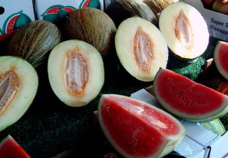 Hindusi aplikują ogórkom i melonom hormon
