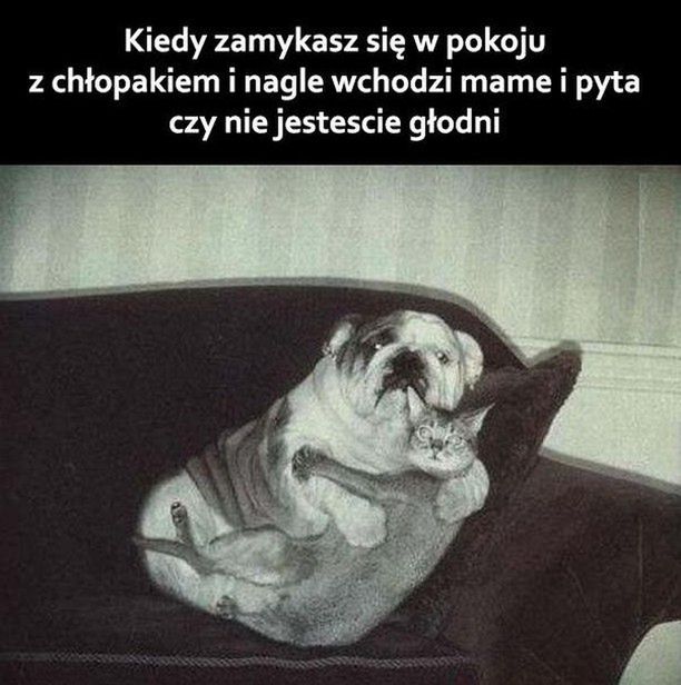 Czułości