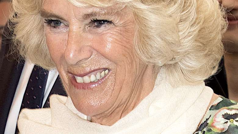 Księżna Camilla mem ze skrzydłami