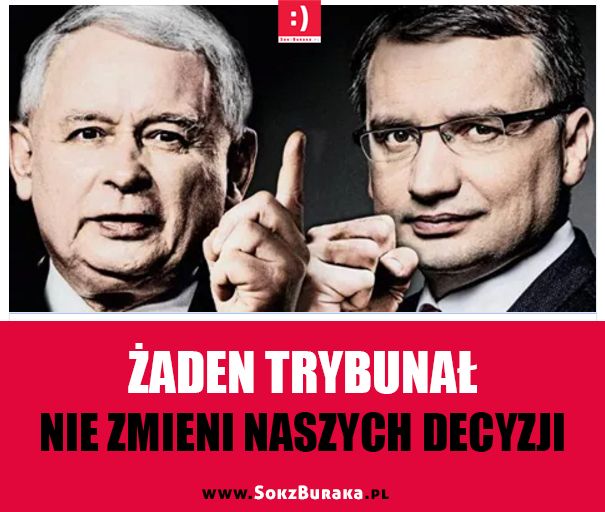 "100 szympansów w trybunale". Najlepsze memy