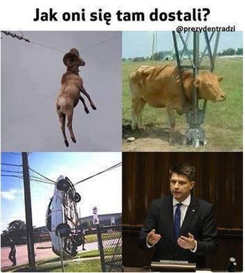 Jak?