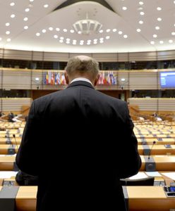 Wybory do europarlamentu. Zobacz, o jaki pensje walczą posłowie