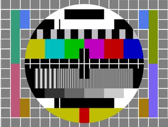 Abonament RTV. Nie masz obowiązku wpuszczenia kontrolera