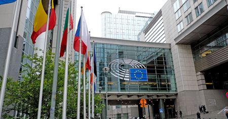 Wybory do Parlamentu Europejskiego 2019. Wrocław i Opole – okręgi i listy wyborcze, kandydaci