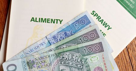 Alimenty. Lublinianin twierdzi, że przy ich obliczaniu sąd pomylił kwotę netto z brutto