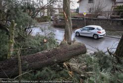 Wiatr w Polsce zrywał dachy, łamał drzewa oraz gałęzie. Minionej nocy strażacy interweniowali ponad tysiąc razy