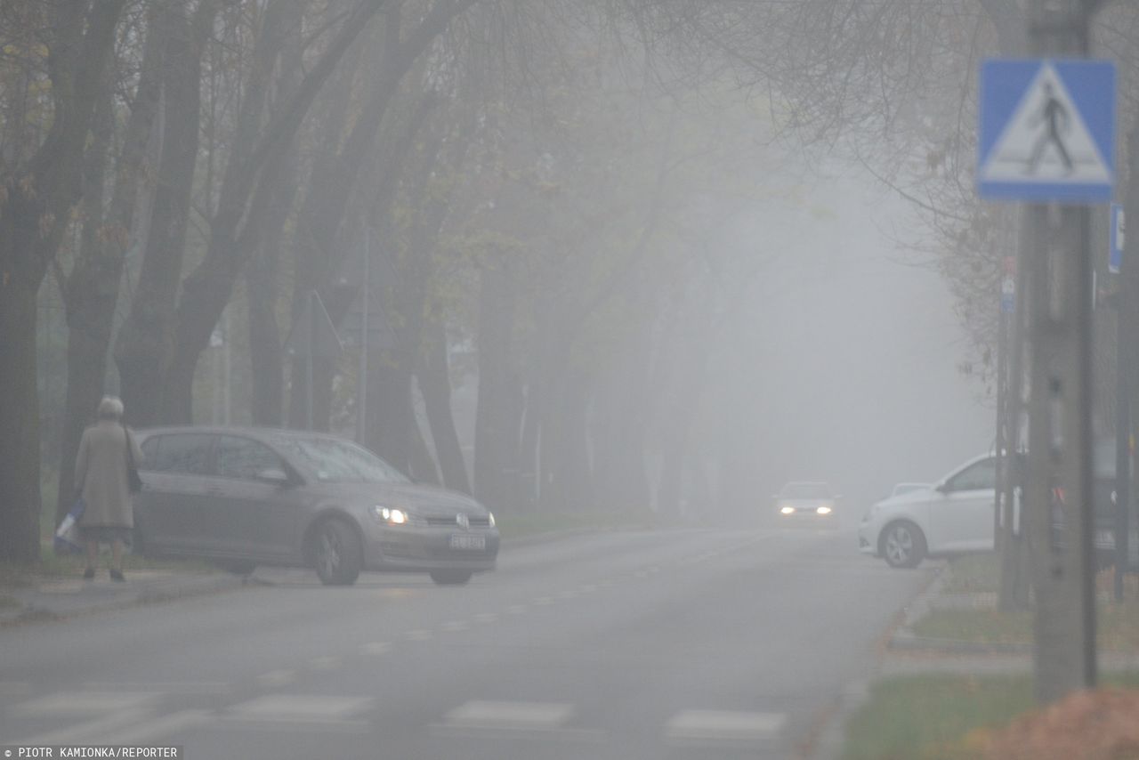 Gęsty mgły w ośmiu województwach. Rządowe Centrum Bezpieczeństwa ostrzega kierowców