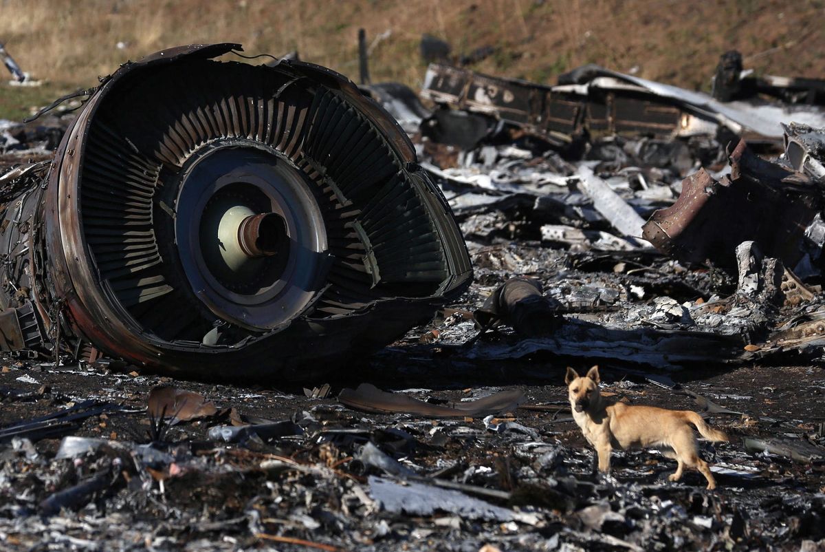 Katastrofa MH17. Ważny świadek przekazany Rosji. Holandia wystąpiła o ekstradycję