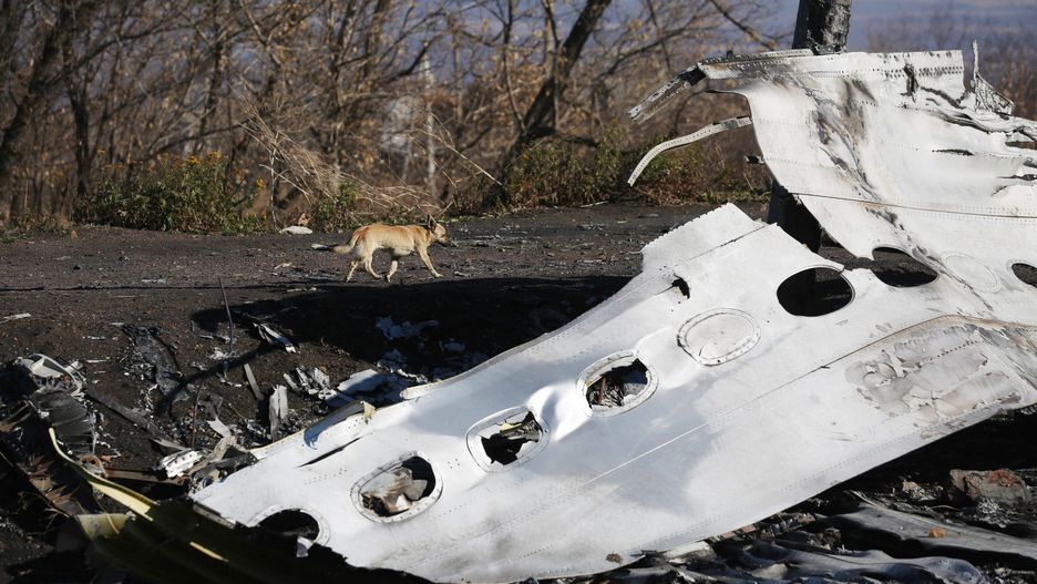 Wrak zestrzelonego na wschodzie Ukrainy samolotu MH17 