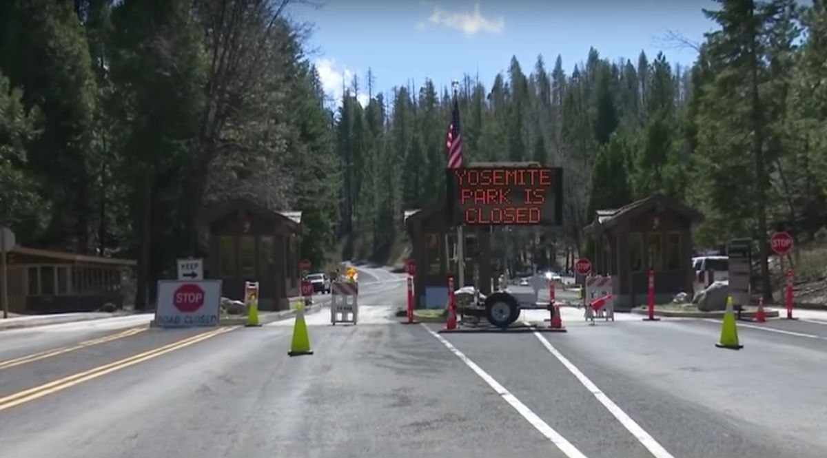 Amerykanie są na kwarantannie. W Parku Narodowym Yosemite widać coraz więcej zwierząt