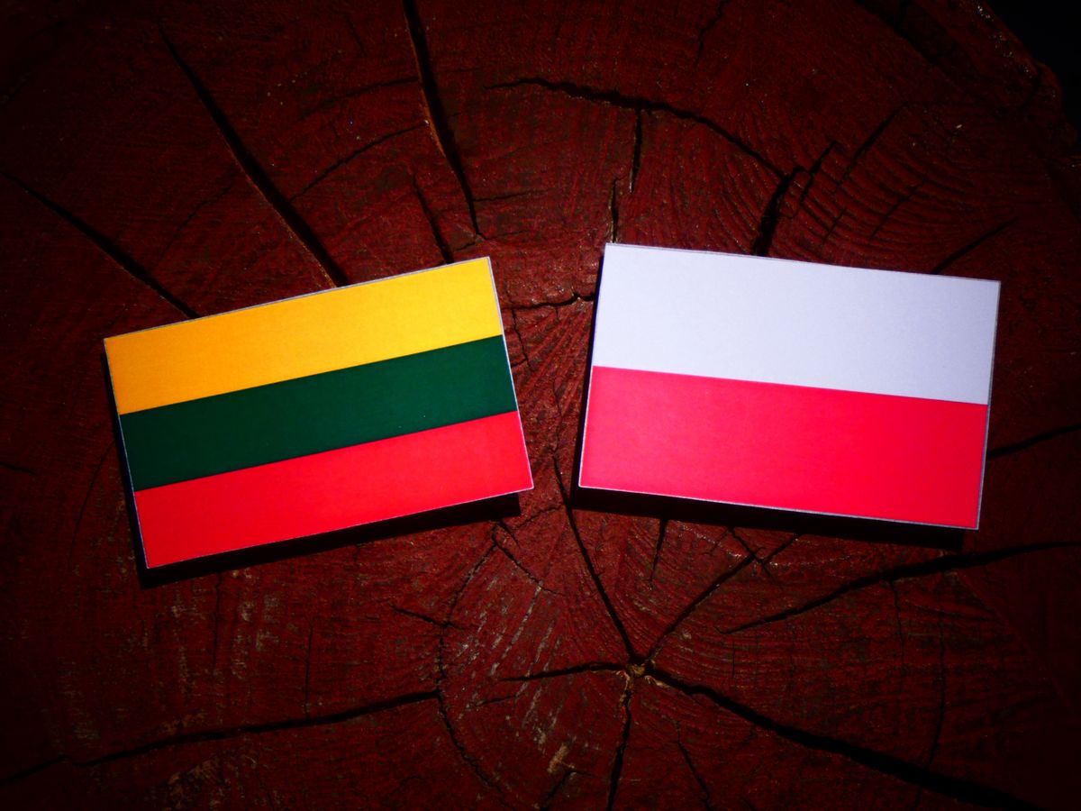 Polska i Litwa uchronią UE przed epidemią ze wschodu