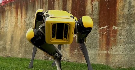 Amerykanie stworzyli nowego robota - psa. Pogłaszczesz go?