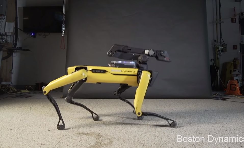 Robot-pies podbija sieć swoim tańcem. W dwie doby obejrzało go 3 miliony internautów