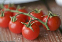 Kradzież pomidorków koktajlowych na Sycylii. Zagadka rozwiązana dzięki badaniom DNA
