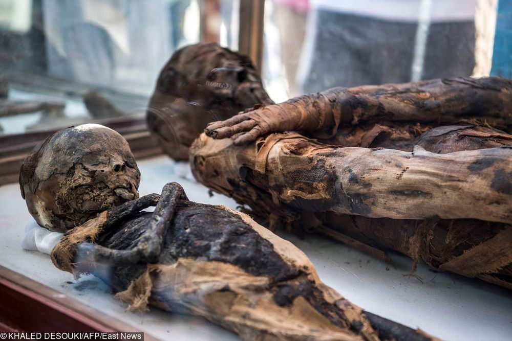 Zajrzeli do grobowca w Egipcie. 50 myszy wokół ludzkich mumii