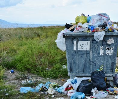 W tym quizie pytamy o śmieci. 100 procent? Zapomnij!