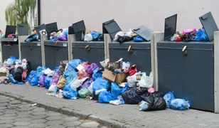 Drożyzna przy śmietniku. W Wałbrzychu czteroosobowa rodzina zapłaci nawet 216 zł miesięcznie