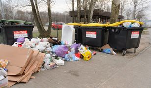 Sąsiad wyrzuci śmieci bez segregacji – zapłacisz i ty. Ile? Nawet czterokrotnie więcej