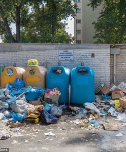 Mokotów tonie w śmieciach. Ratusz wydał oświadczenie