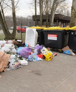 Sąsiad wyrzuci śmieci bez segregacji – zapłacisz i ty. Ile? Nawet czterokrotnie więcej