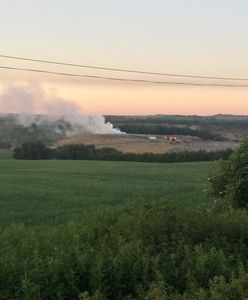 Pożar wysypiska śmieci w Bytomiu. Gęsty dym był widoczny z daleka