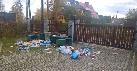 "Jesteśmy znani z dobrych śniadań".Nieproszeni goście splądrowali śmietniki