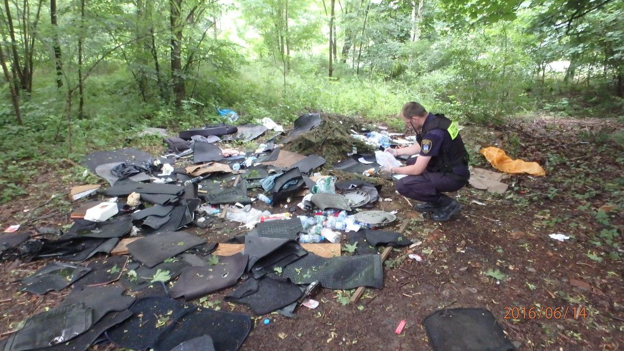 Fotopułapki w lesie demaskują sprawców z Poznania