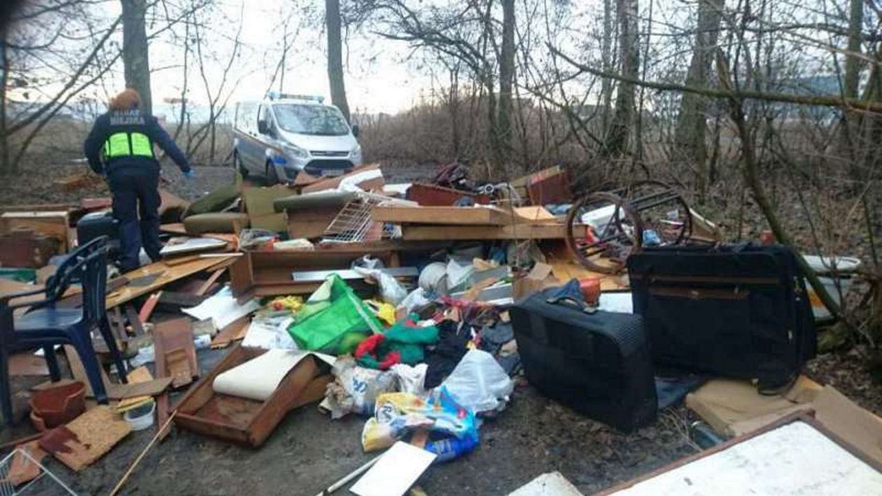 Warszawa. Śmieci w Lasku Bródnowskim. Wśród nich dokumenty właściciela