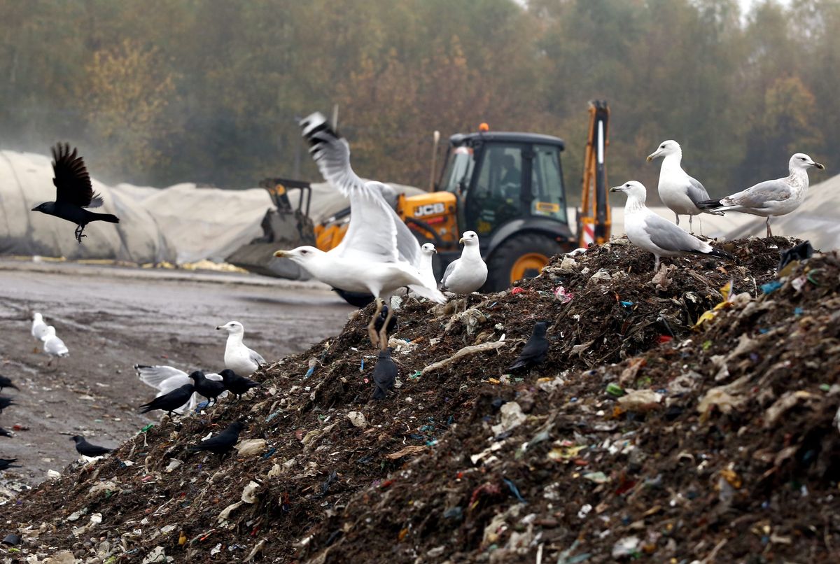 Warszawa. Składowisko odpadów nadal uciążliwe. "Bareja w środku stolicy"